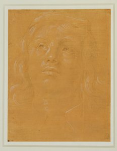 Portrait of a Young Man Looking Up by Lorenzo di Credi