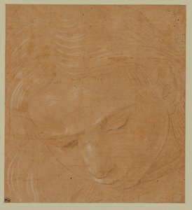 Portrait of a Young Man Looking Down by Lorenzo di Credi