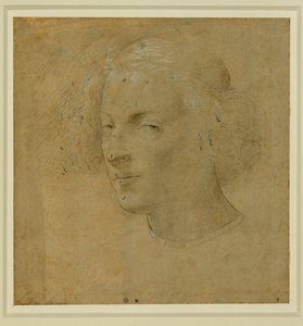 Portrait of a Young Man with Skullcap by Lorenzo di Credi