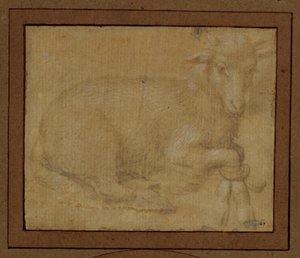 Study of a Lamb by Lorenzo di Credi