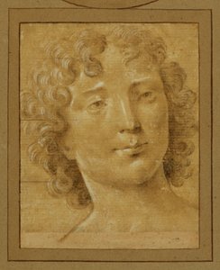 Study of a Man with Long, Curly Hair by Lorenzo di Credi