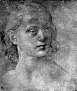 The Head of a Young Woman by Lorenzo di Credi