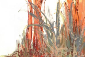 Colorful Reed Abstract