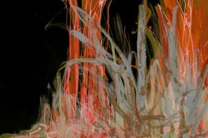 Fiery Organic Lines