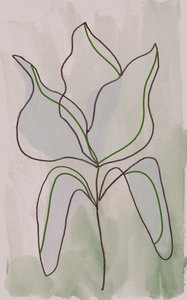 Minimalist Botanical Outline