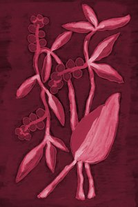 Seed Pod 1 Cherry Red