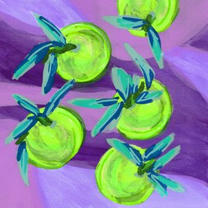 Vibrant Green Limes