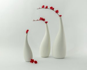 Red Vases and Blooms
