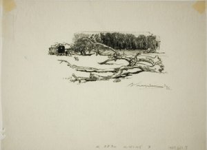 Crossroads of the Thorn