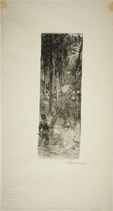 Falling Pines