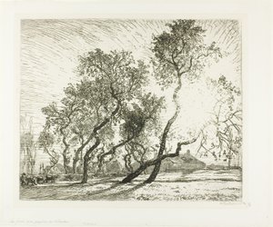 Farm with Dutch Poplars