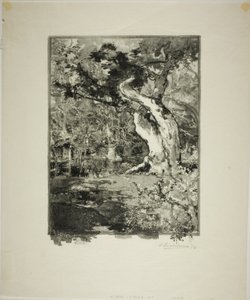The Clovis, Bellecroix Plateau by Louis Auguste Lepère