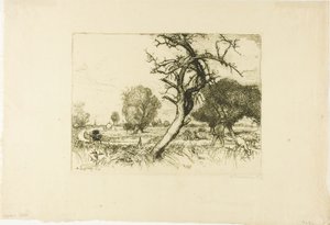 The Dead Apple Tree