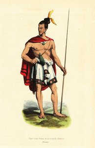 Maori Chief of Houa-Houa, Tolaga Bay, North Island, New Zealand by Louis Auguste de (after) Sainson