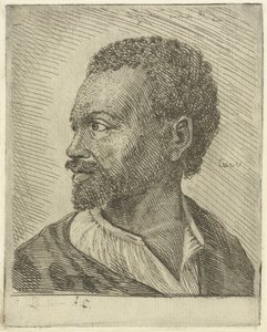 Portrait of an Abyssinian