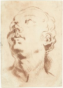 Study Sheet with a Head Looking Upwards by Louis Bernard Coclers