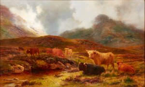 Moorland at Clachaig, Glencoe