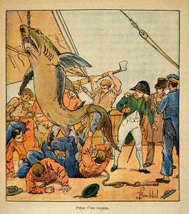 Emperor Napoleon attends the capture of a shark aboard the Northumberland by Louis Charles Bombled