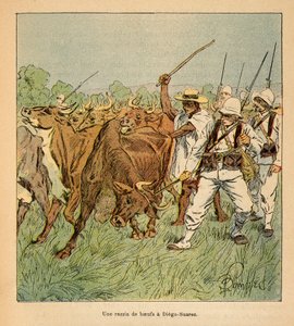 The War in Madagascar: In Diego-Suarez, the French Army Demands Oxen by Louis Charles Bombled