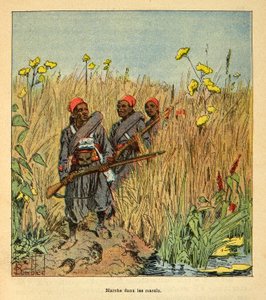 The War in Madagascar: French Troops on Expedition in the Marshes in Madagascar in 1895