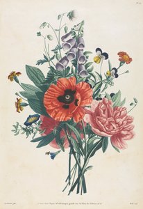 Collection of Flowers and Fruits Painted After Nature: Bouquet of Foxglove, Clematis