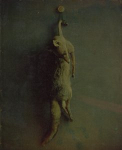 Fox by Louis Ducos du Hauron