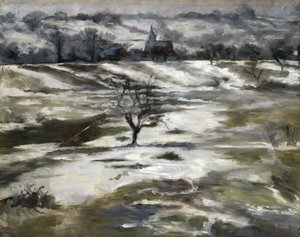 Taunus Landscape in Early Spring