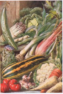 Garden Vegetables, illustration from 