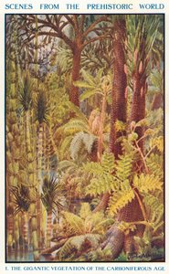 The Gigantic Vegetation of the Carboniferous Age by Louis Fairfax Muckley