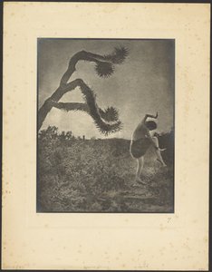 Apache Dance by Louis Fleckenstein