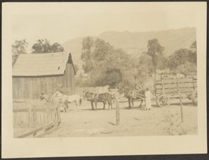 Barnyard Scene by Louis Fleckenstein
