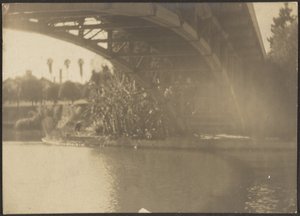 Bridge over River by Louis Fleckenstein