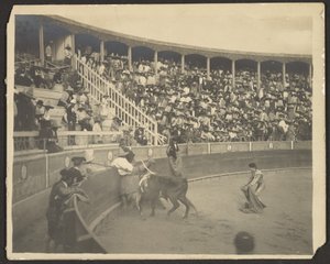 Bullfight by Louis Fleckenstein