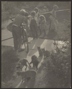 Children and Cats by Louis Fleckenstein
