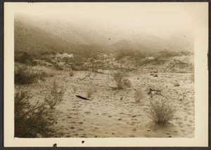 Coyote Canyon by Louis Fleckenstein