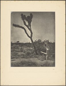 Dancer at Joshua Tree