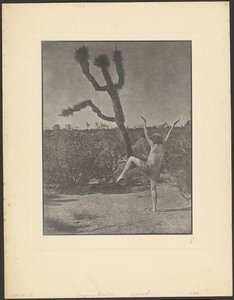 Dancing Master by Louis Fleckenstein