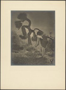 Dancing Spirit of the Joshua - First Lessons by Louis Fleckenstein