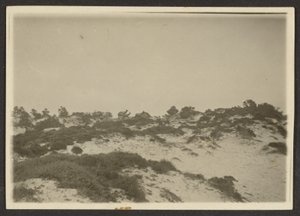 Dunes by Louis Fleckenstein