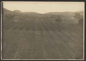 Farm Landscape by Louis Fleckenstein