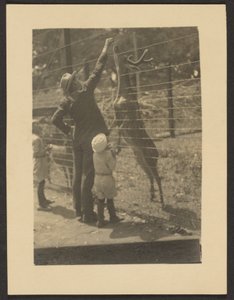 Feeding Deer by Louis Fleckenstein