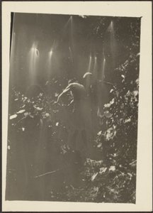 Figures in Woods by Louis Fleckenstein