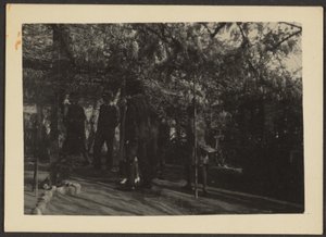 Figures in Woods