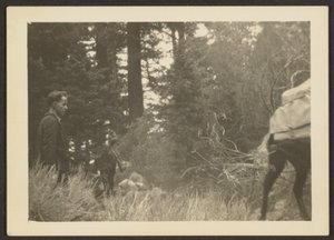 Figures in a Woodsy Landscape by Louis Fleckenstein