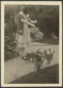 Florence and Cats by Louis Fleckenstein