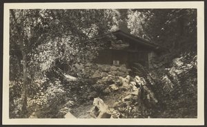 Forest Lodge by Louis Fleckenstein