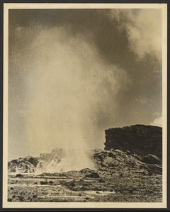 Geyser
