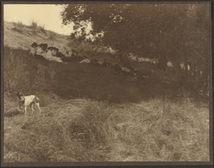 Group Portrait Resting in Field with Dog by Louis Fleckenstein