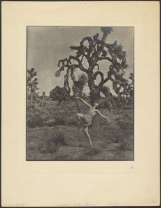 Inspiration of the Dance