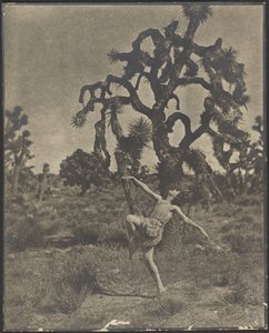Inspiration of the Dance by Louis Fleckenstein